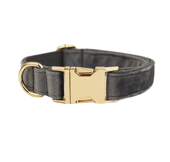 Velvet Dog Collar and Leash Set-2