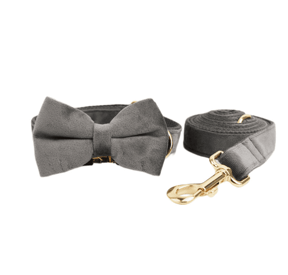 Velvet Dog Collar and Leash Set-3