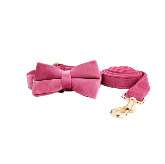 Velvet Dog Collar and Leash Set-4