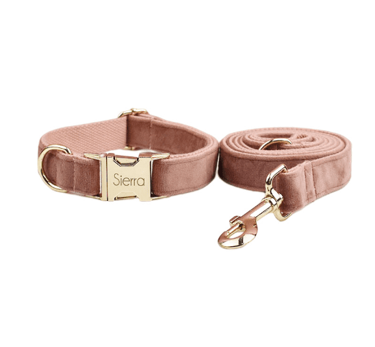 Velvet Dog Collar and Leash Set-6